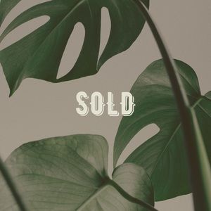 Free People Thermal w lace cuff